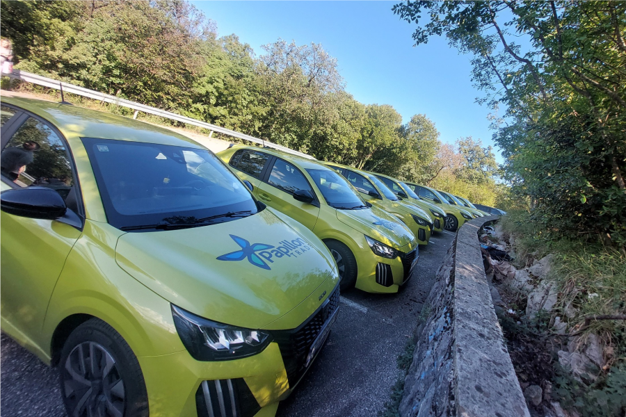 papillon trade_ribili_2